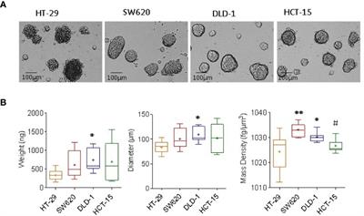 Physical Characterization of Colorectal Cancer Spheroids and Evaluation of NK Cell Infiltration Through a Flow-Based Analysis